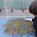 한길농장 이미지