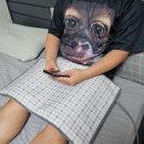 메디프라임 | 전기허리찜질기 디웰 프라임 황토참숯 전기찜질기 사용 후기