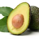 아보카도 이미지