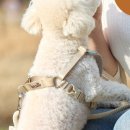 이지플레이 이미지