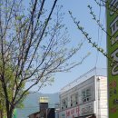 신안아파트후문 이미지