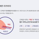 바이크박스서신