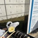 오죽김밥강릉점