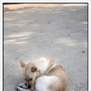 운식농장 이미지