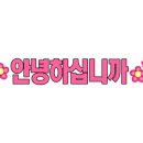 메이제이스킨