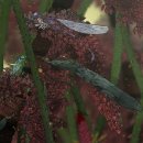 모두의 PC 이미지