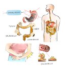 알라딘한의원 이미지