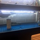 전통복회관 이미지