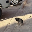 (주)윈플러스마트중부 | 몽골 중부투어 3박4일 1일차 10월말 날씨,코스 후기