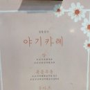 야기카레 이미지