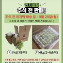 순한농장 | [영천 연지농장🍇 ] 포도 맛집 초생재배 농사 당도 높은 포도 연지농장 방문후기