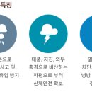 프리미엄틴팅샵 이미지