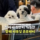 41190-01-07-359 | 미용실 추천｜강아지 동반이 가능한 준오헤어 모다아울렛구리남양주점 이지 수석실장 남성컷·다운펌 후기