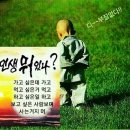 대자유, 대무애, 대순정의 인간 이미지