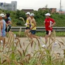 송포배수펌프장 이미지