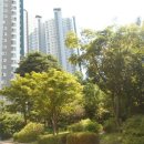 하늘달빛로 이미지