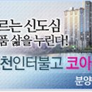 망정지 네이버블로그