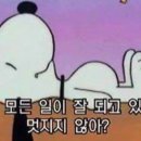 세회약국 이미지