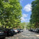 퓨네이처 | 양주 네이처독 중형견 운동장 방문후기