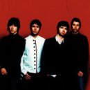 오아시스 이미지