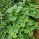 재영농장 이미지