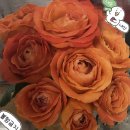 고원웨딩뷔페 | 인터넷꽃도매시장 셀프 장미부케/꽃다발 만들기. 엄궁화훼단지보다 추천!