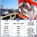 안면도 체험 시간제 선상낚시 정리, 반나절 출조 가능한 선사와 비용 정보
