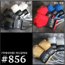 특사체육관 이미지