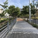 덕풍천 산책로 네이버블로그