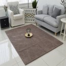 브라운카펫 이미지