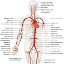 바른뜸한의원 이미지