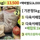 진토베기 Daum카페