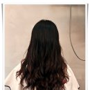 컷앤펌헤어샵 이미지