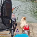 복상골낚시터 이미지