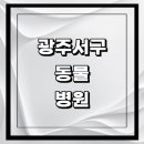 페츠온동물병원 | 광주 서구 근처 동물병원 추천 정보 | 24시간 잘하는곳 고양이 강아지 중성화 수술 애견 가격 비용...