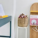 윌리하니 그루밍 이미지