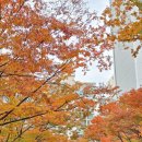 신나무실약국 이미지