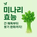 세븐일레븐 용인까페거리점 | 용인 보정동 카페거리 맛집, 강남랭겹 .냉삼후기