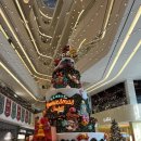 도그필드 이미지