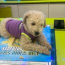 CU 안암학사점 이미지