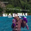 씨스타펜션 | 성주 씨스타 펜션 후기 아이랑 가성비 좋은 물놀이 펜션 찾는다면 추천!