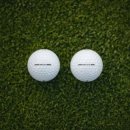 블레어리 이미지