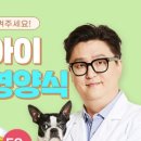 러브펫 동물병원 이미지