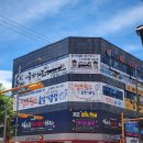 국가대표대한실전태권도장 | [용황국가대표태권도]어린 아이부터 어른까지, 실전 태권도 프로그램