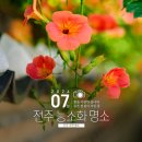 한옥마을 자전거대여소 하천 공중화장실 | [전북 전주] 왕을 사랑한 궁녀의 슬픈 전설이 서린 대표적인 여름 꽃, 전주 능소화 명소