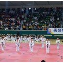 창신태권도체육관 네이버블로그
