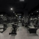 영짐(YOUNG GYM) Daum카페