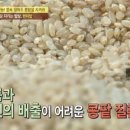서울힐링요양병원 이미지