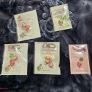 행운공원 | 🍀행운의 거북이🐢 오프라인 마켓 내돈내산 후기