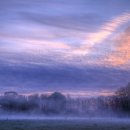 양호분식 이미지